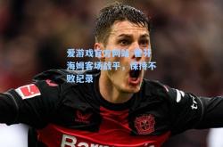 爱游戏官方网站-霍芬海姆客场战平，保持不败纪录
