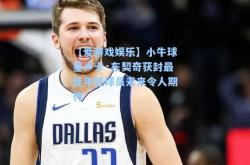 【爱游戏娱乐】小牛球星卢卡·东契奇获封最佳年轻球员未来令人期待