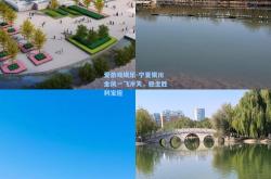 爱游戏娱乐-宁夏银川金凤一飞冲天，稳坐胜利宝座