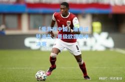 【爱游戏中国】瑞典逆转波兰，晋级欧国联半决赛