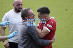 爱游戏官方网站-波兰淘汰奥地利，成功晋级欧国联四弧