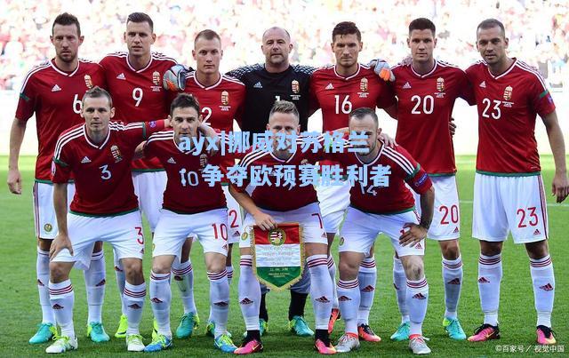挪威对苏格兰：争夺欧预赛胜利者