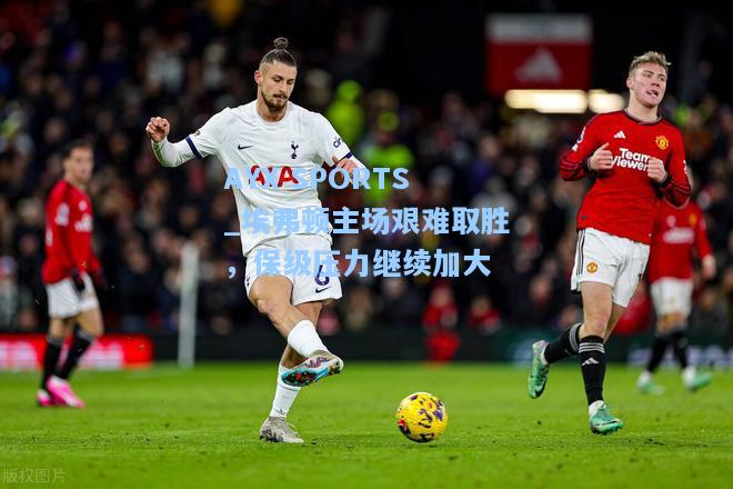 埃弗顿主场艰难取胜，保级压力继续加大