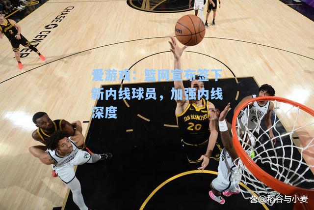 篮网宣布签下新内线球员，加强内线深度