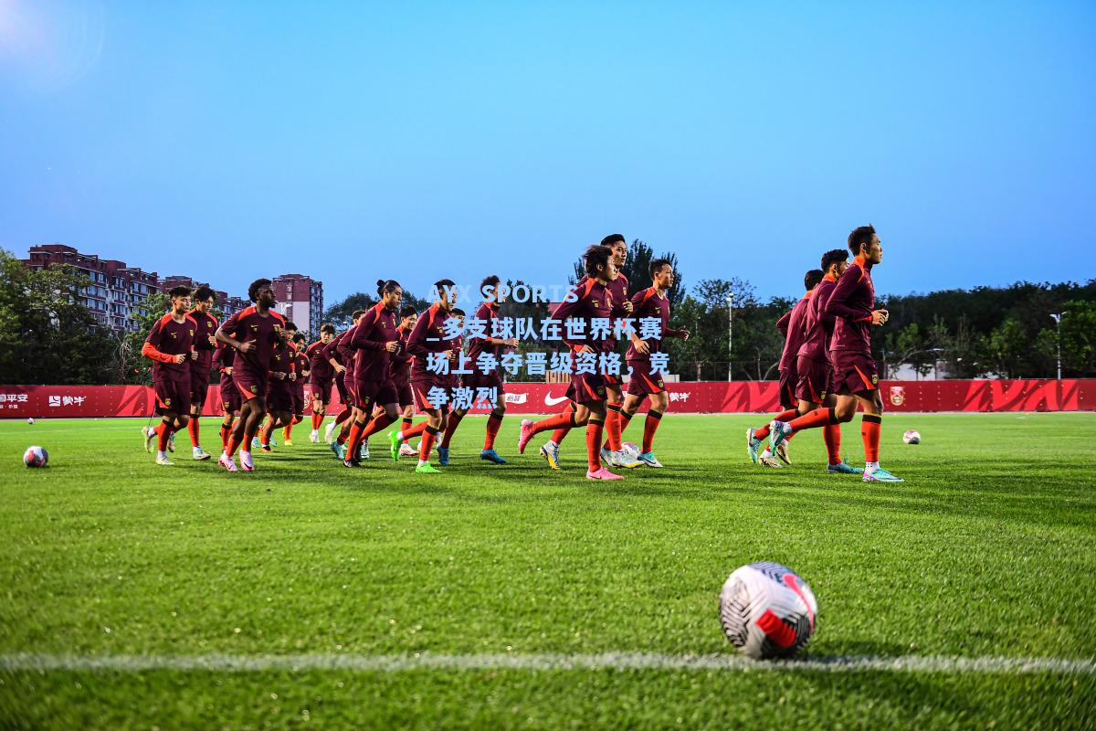 多支球队在世界杯赛场上争夺晋级资格，竞争激烈