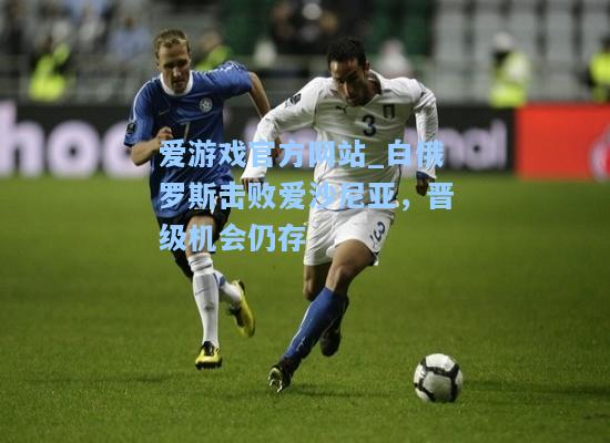 白俄罗斯击败爱沙尼亚，晋级机会仍存